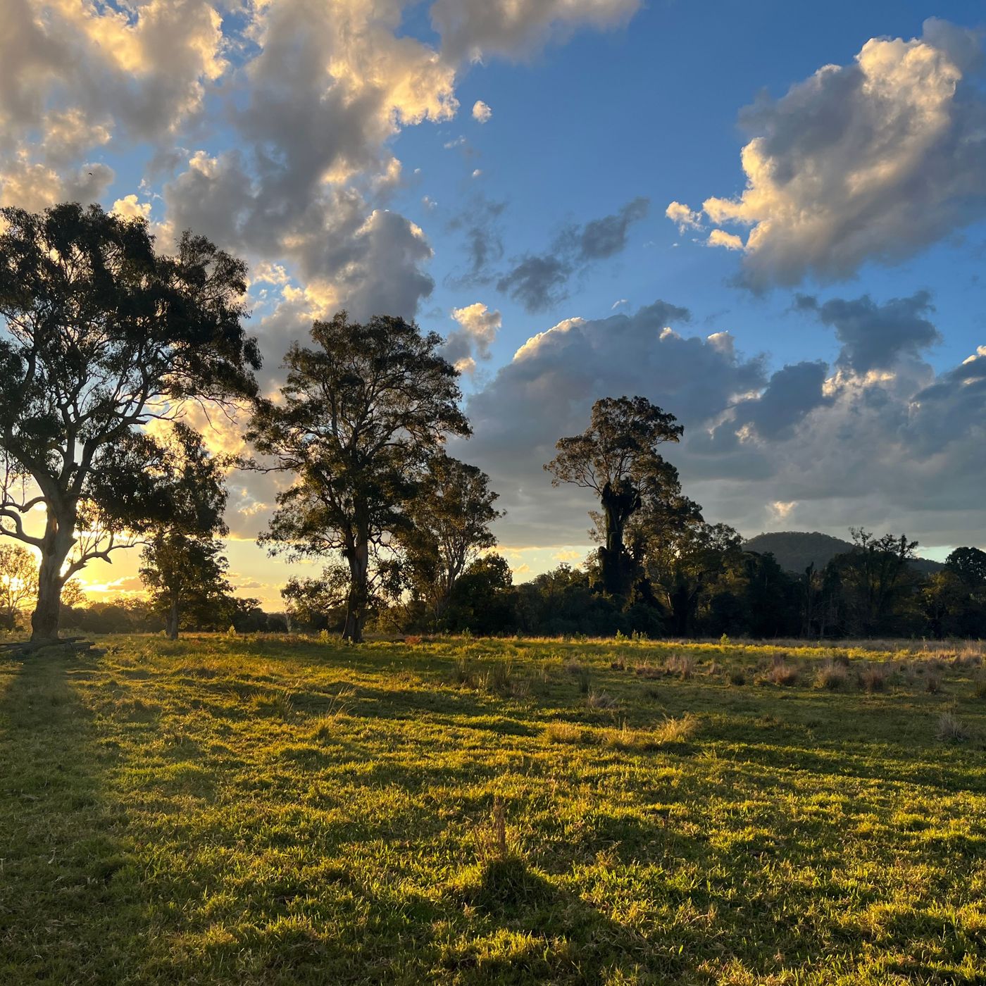 Primary photo of Casino | Kyogle