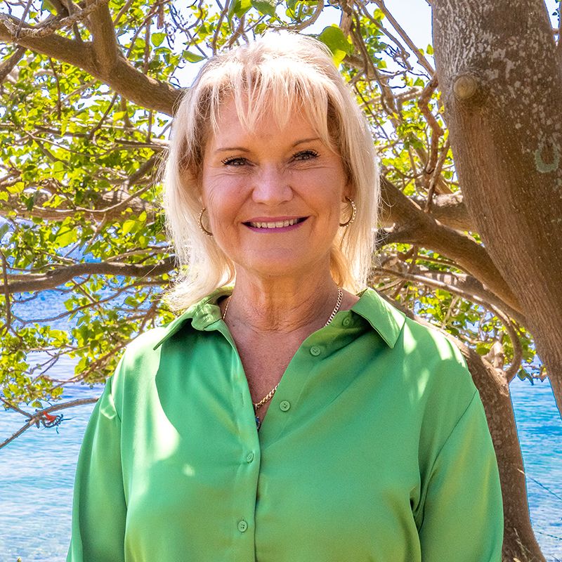 Lisa O'Meara