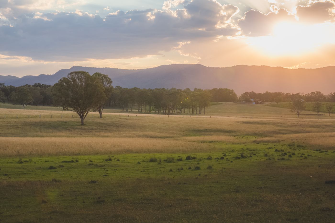 Rural Central Coast Lower Hunter
